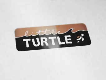 little Turtle