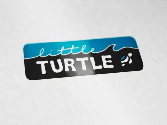 little Turtle
